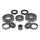 Manual Transmission Bearing Kit 1975-1979 Nissan 200SX Reverse Shift Pattern